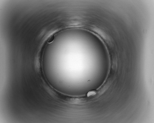 X0000099971458200805231355