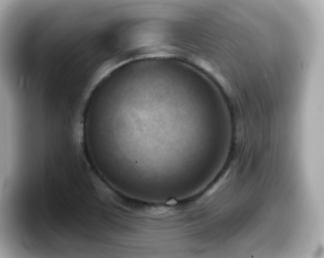 X0000099971459200805231355
