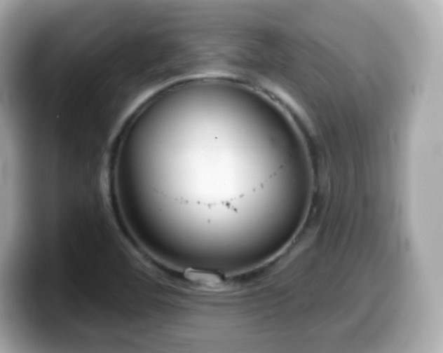 X0000099971460200805231355