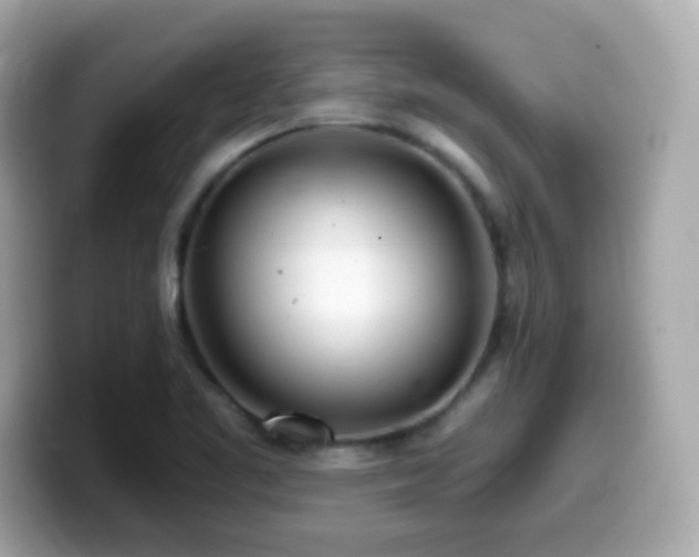 X0000099971461200805231355