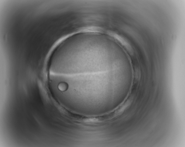 X0000099971462200805231355