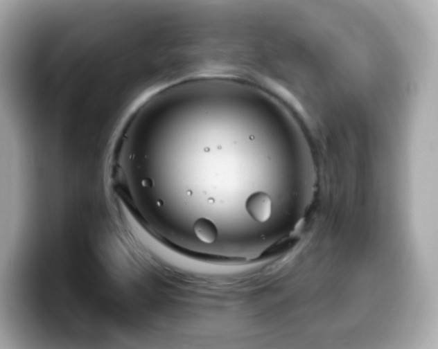 X0000099971463200805231355