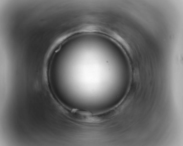X0000099971464200805231355
