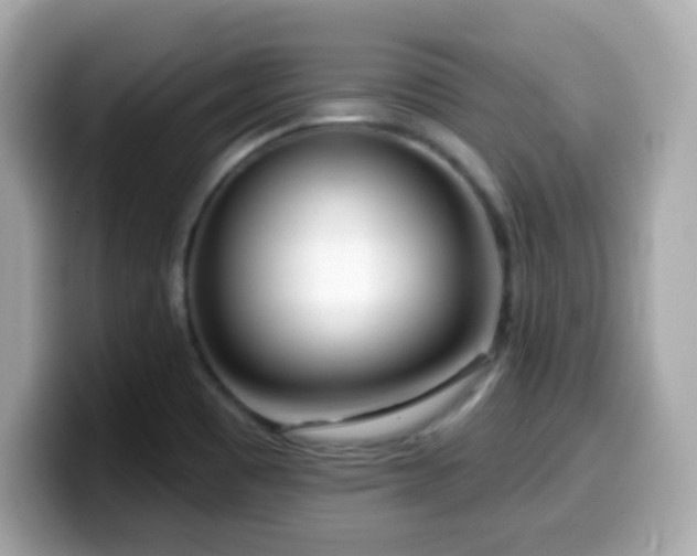 X0000099971465200805231355