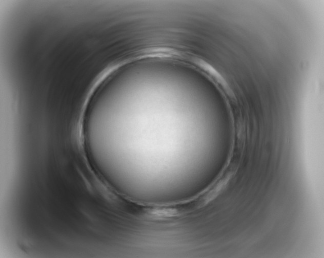 X0000099971466200805231355