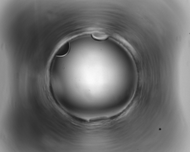 X0000099971467200805231355