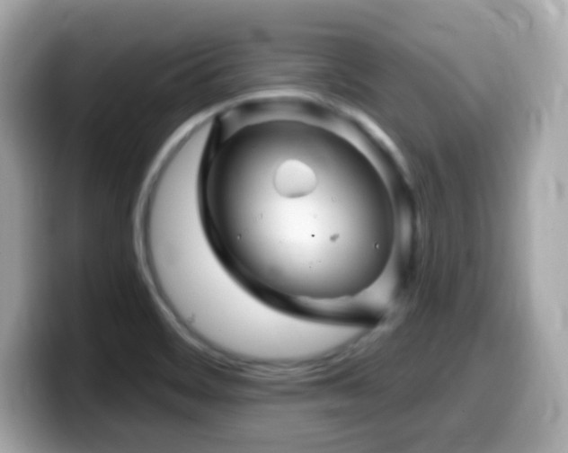 X0000099971468200805231355