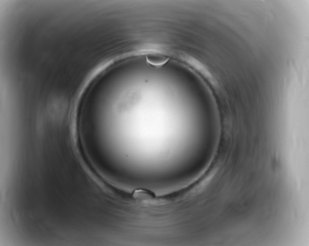 X0000099971469200805231355