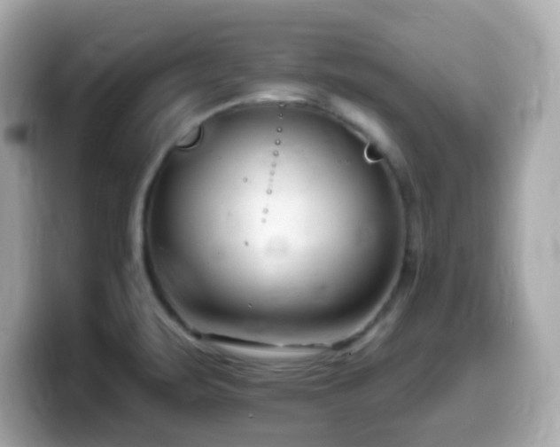 X0000099971471200805231355