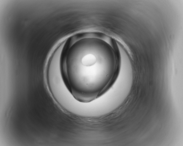 X0000099971472200805231355