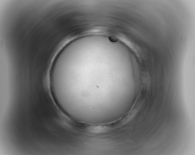 X0000099971474200805231355