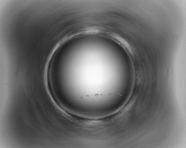 X0000099971475200805231355