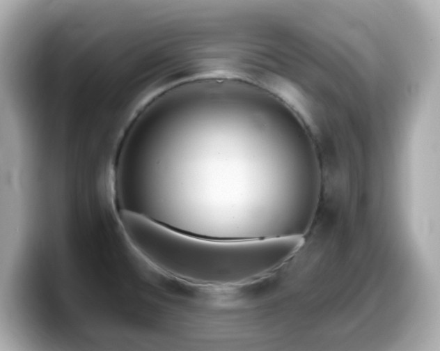 X0000099971476200805231355