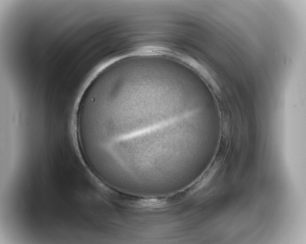 X0000099971478200805231355