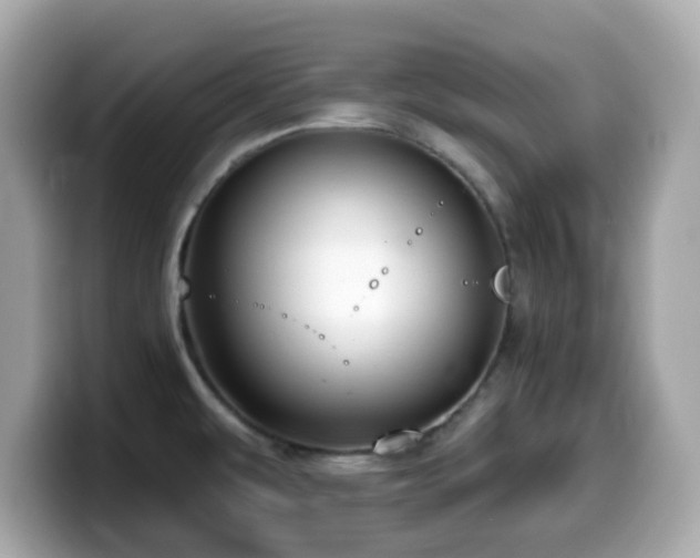 X0000099971479200805231355