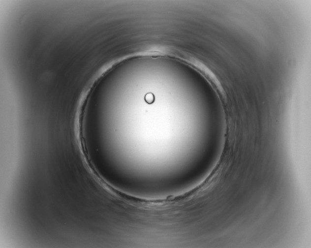 X0000099971480200805231355