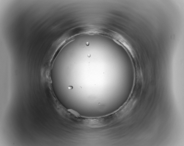 X0000099971481200805231355