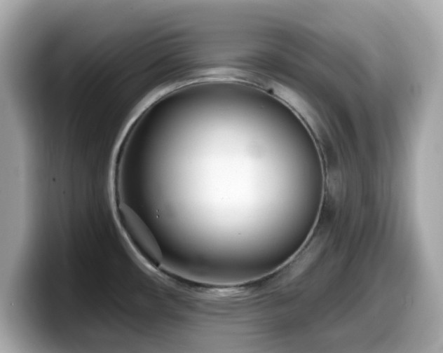 X0000099971482200805231355