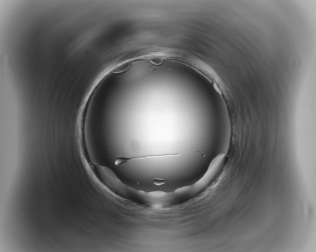 X0000099971483200805231355