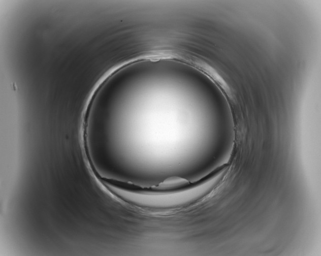 X0000099971484200805231355