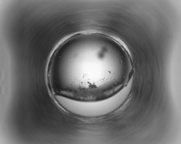 X0000099971485200805231355