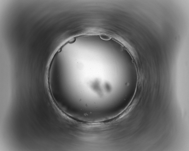 X0000099971486200805231355