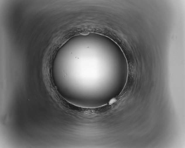 X0000099971489200805231354