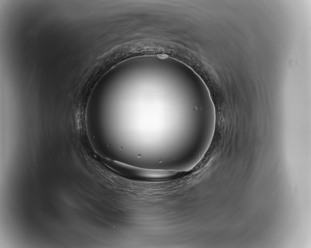 X0000099971490200805231354