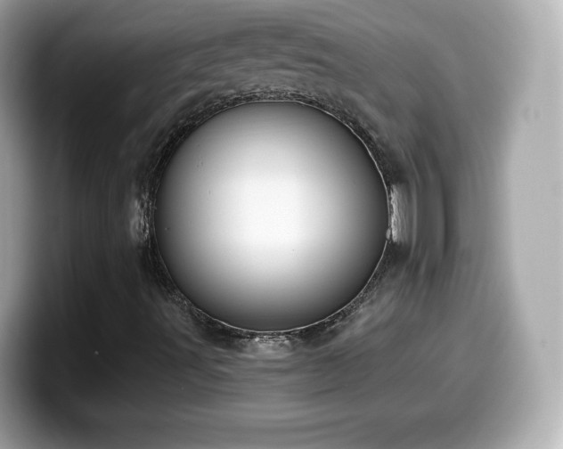 X0000099971491200805231354
