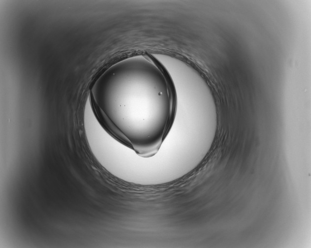 X0000099971492200805231354