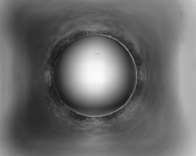 X0000099971493200805231354