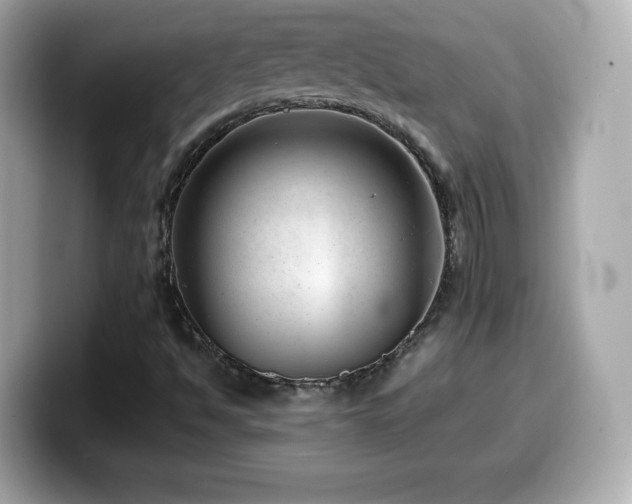 X0000099971494200805231354