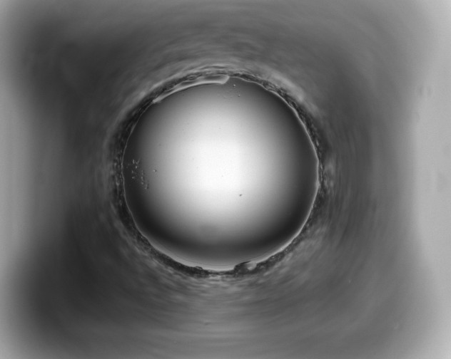 X0000099971496200805231354