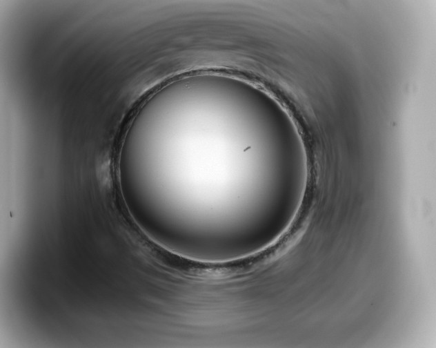 X0000099971497200805231354