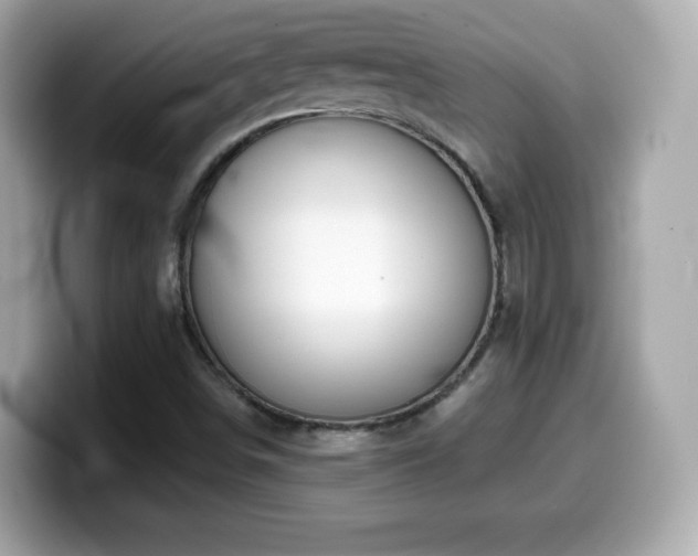 X0000099971498200805231354