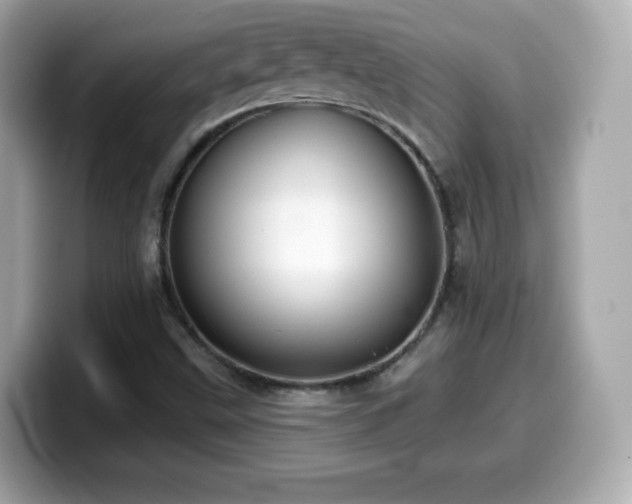 X0000099971499200805231354