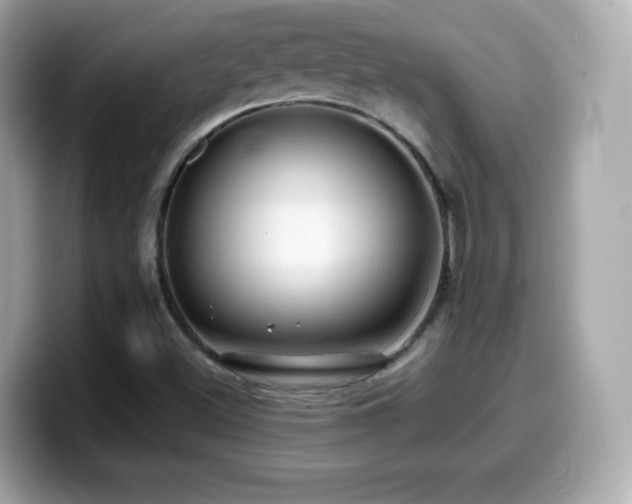 X0000099971500200805231354