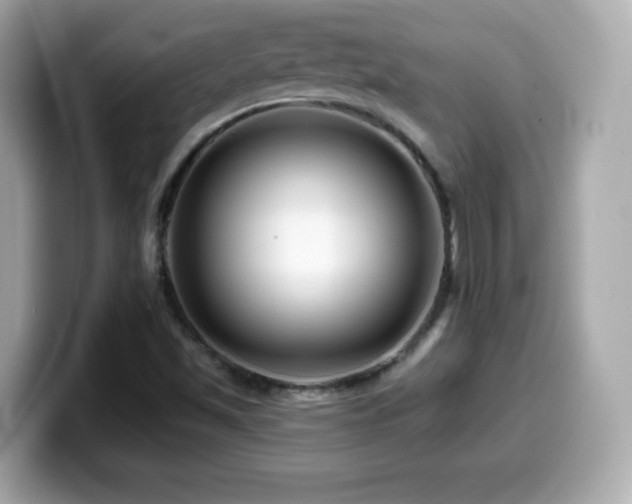 X0000099971501200805231354