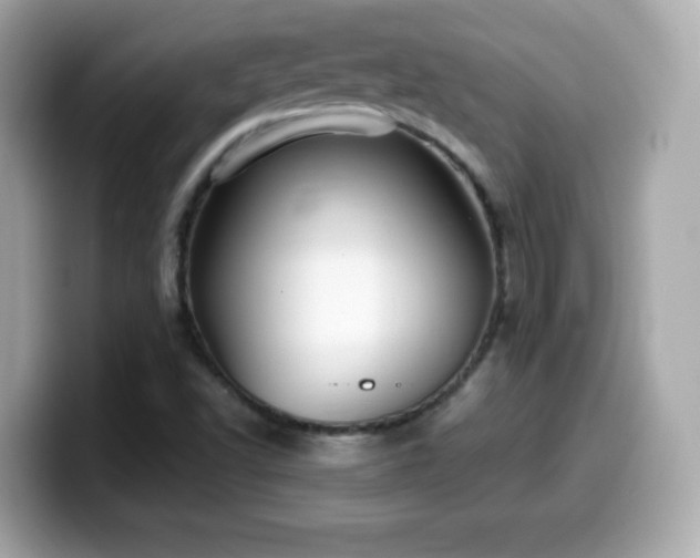 X0000099971502200805231354