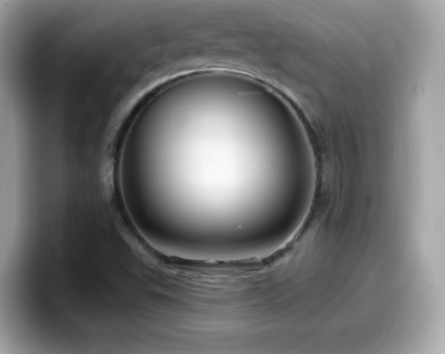 X0000099971503200805231354
