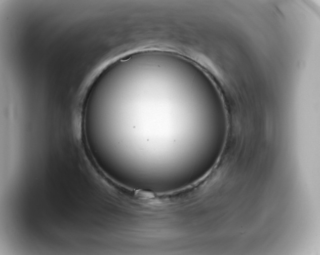 X0000099971504200805231354