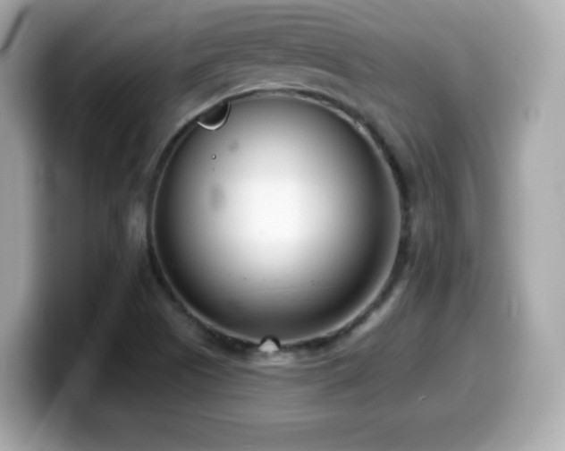 X0000099971505200805231354