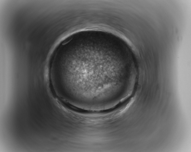 X0000099971506200805231354