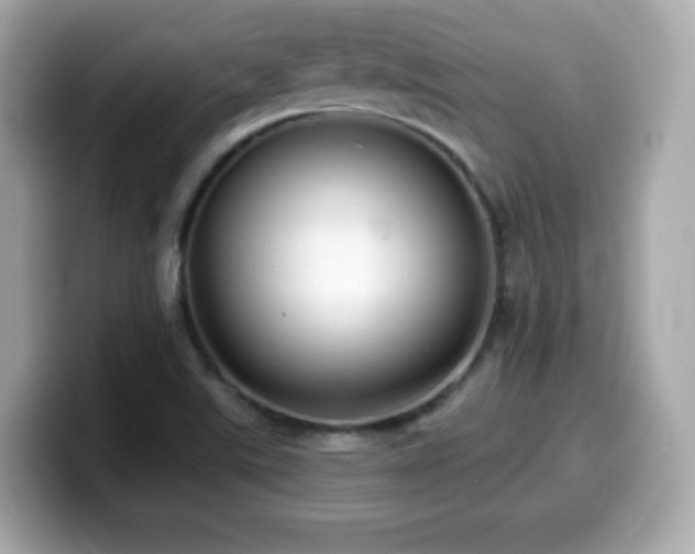 X0000099971507200805231354