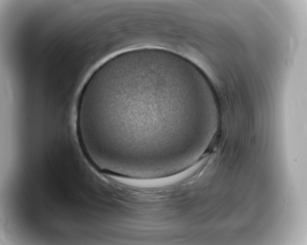 X0000099971508200805231354