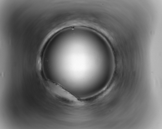 X0000099971509200805231354