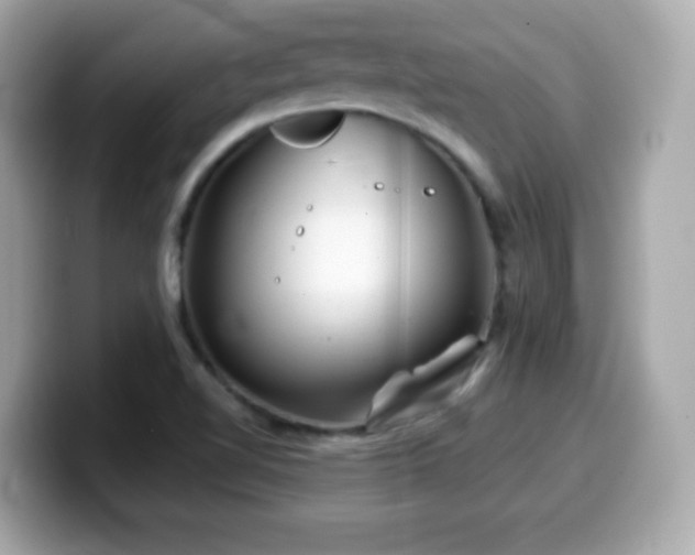 X0000099971510200805231354