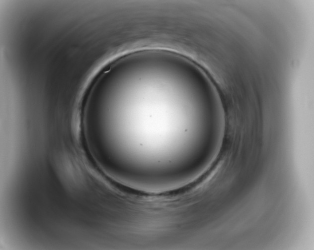 X0000099971511200805231354