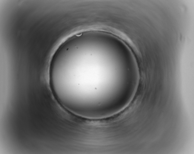 X0000099971512200805231354