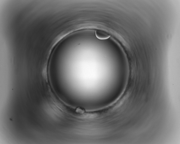 X0000099971513200805231354